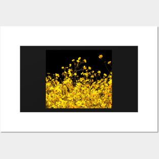 Wild black eyed susan by the dozen Posters and Art